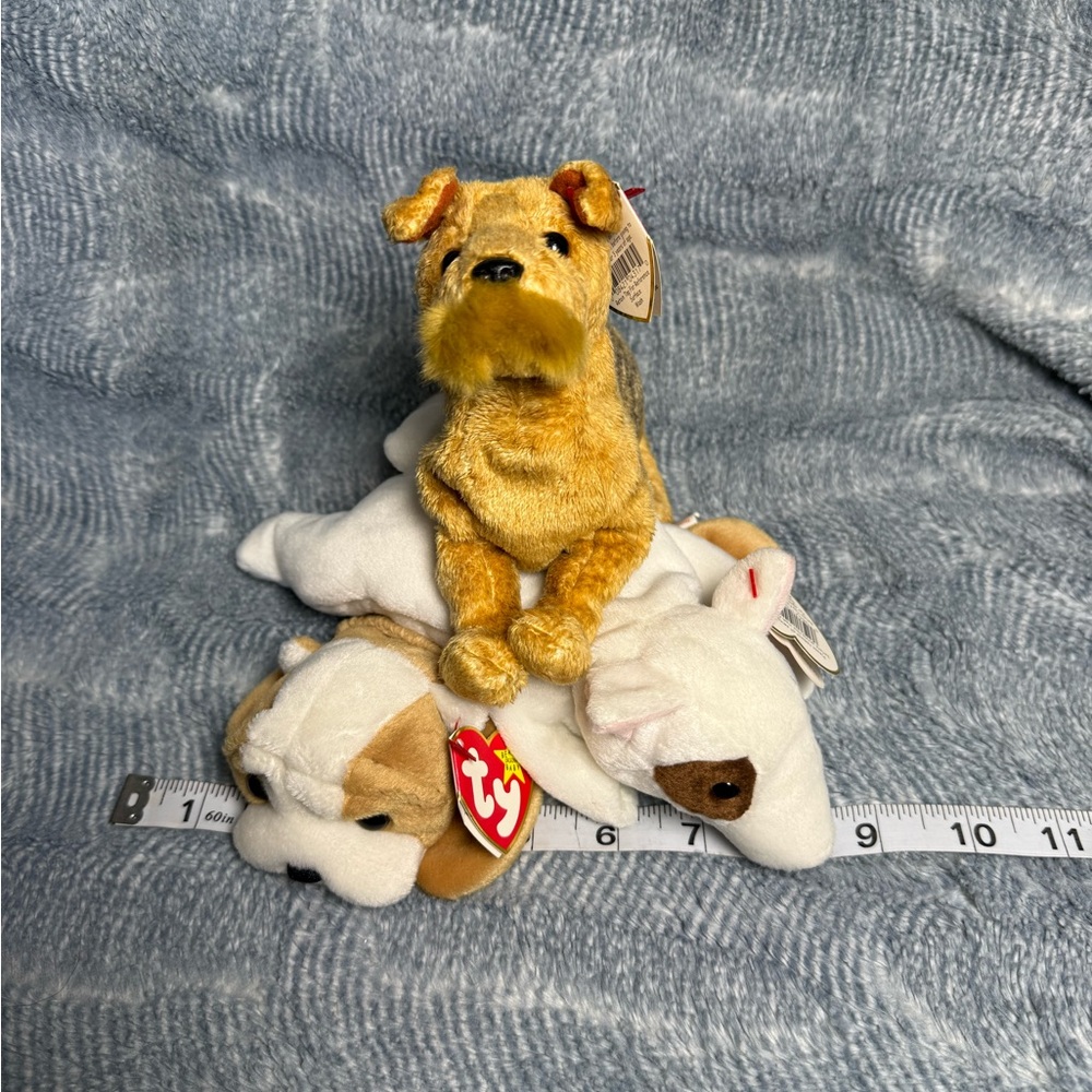 Ty Plush Dog Trio whiskers, Butch, and wrinkles.